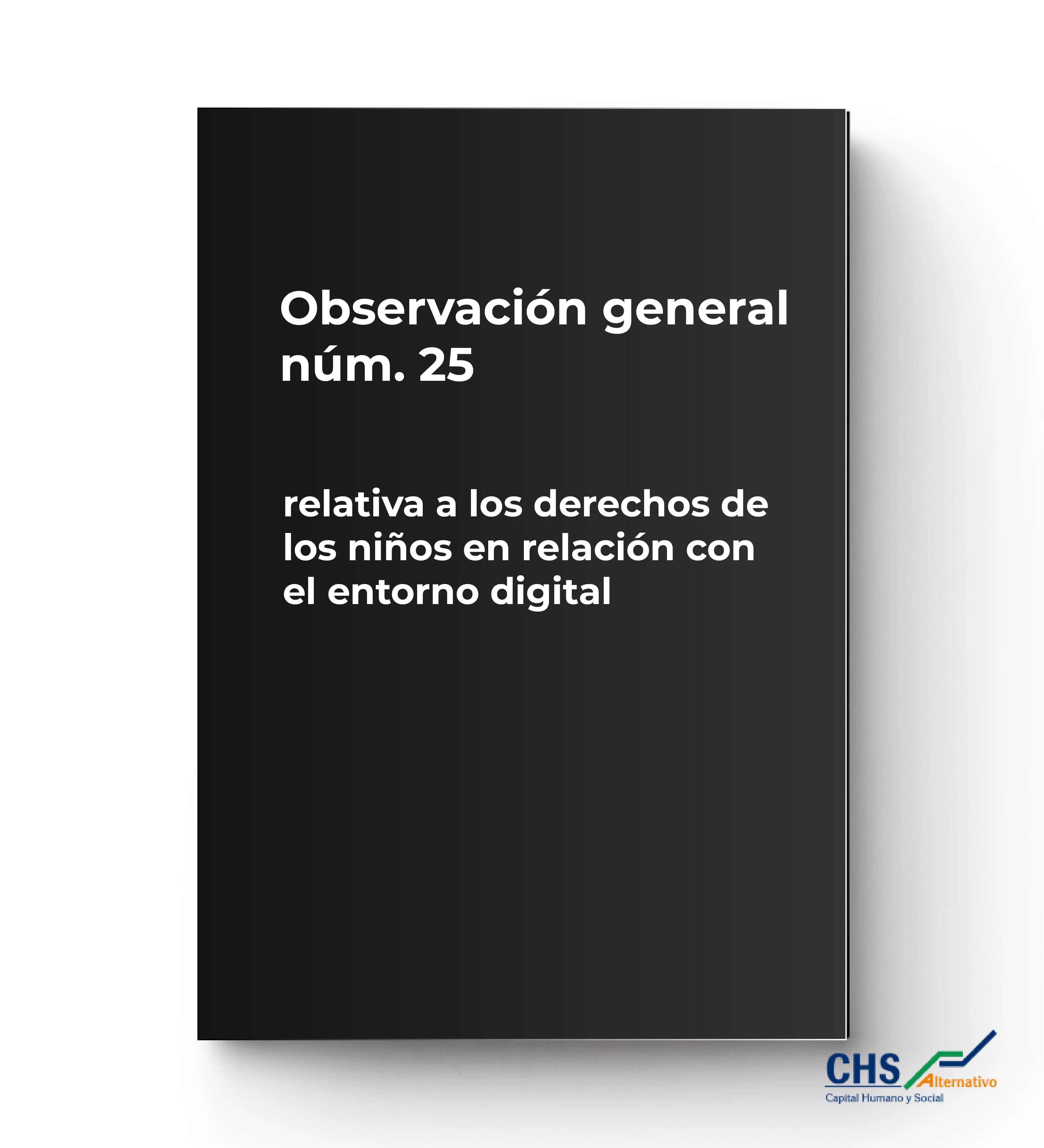 Observación General num.25